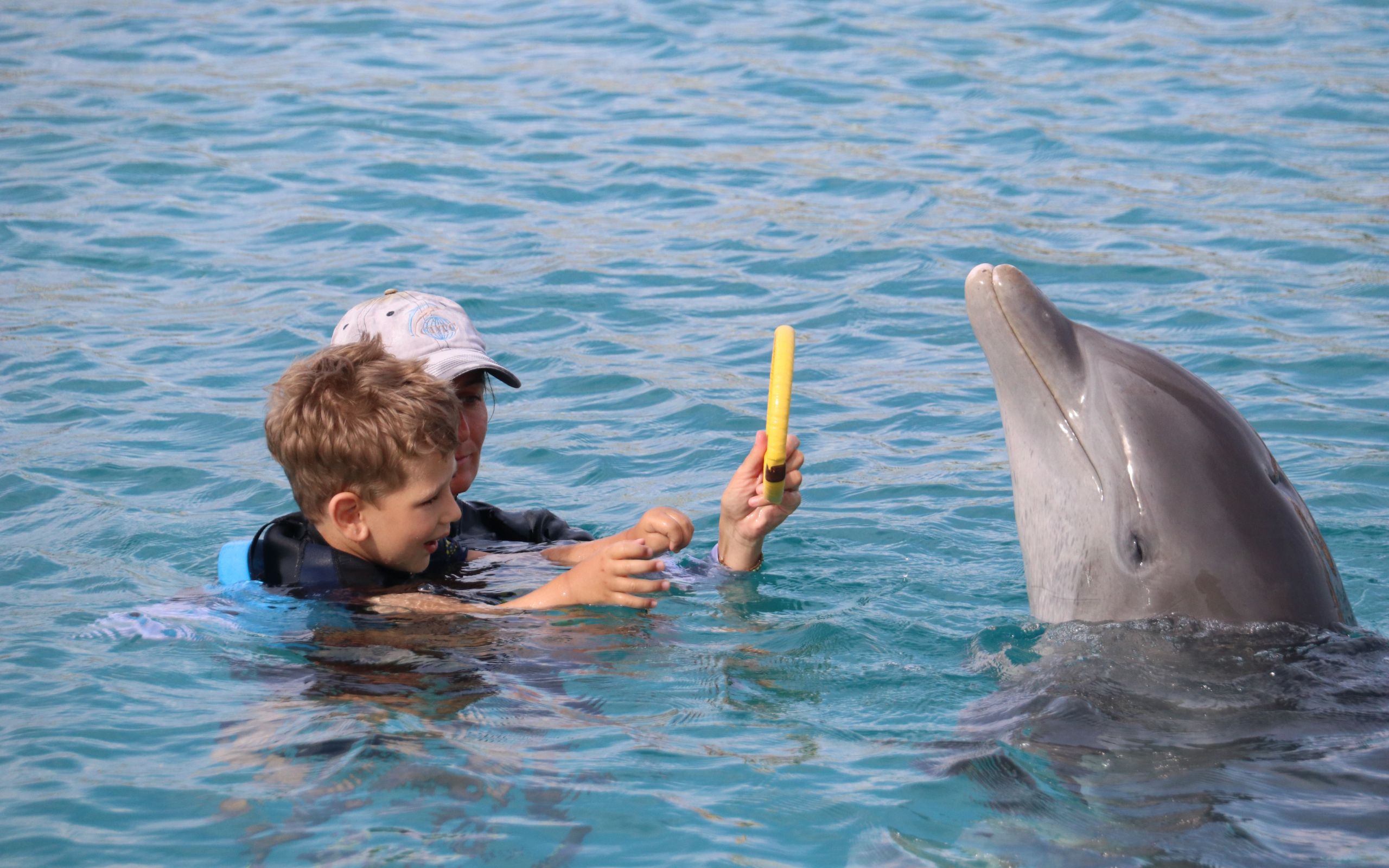 Die Therapie hat unsere Erwartungen übertroffen delfine therapieren